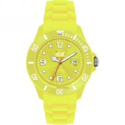 Ceas Ice Watch SILI FOREVER SI.EV.B.S.10 Big Endive