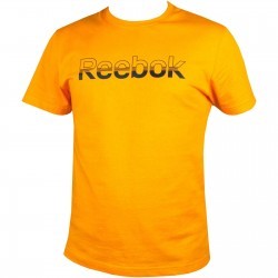 Tricou barbati Reebok Split Str T W06946